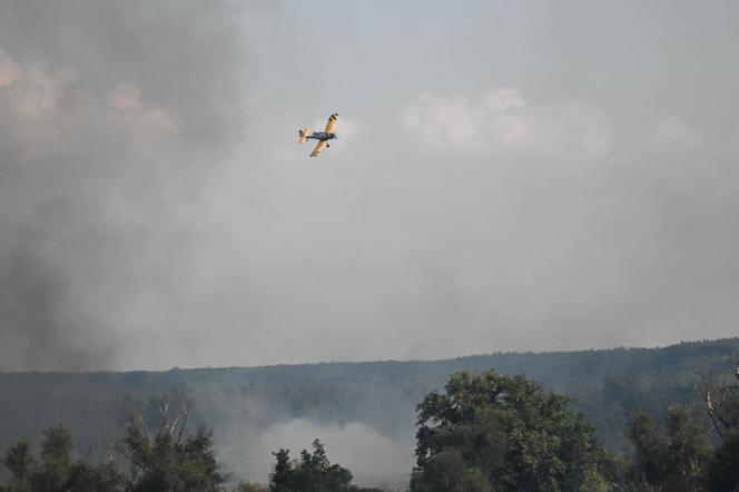 Słup dymu pod Szczecinem. W akcji samoloty gaśnicze