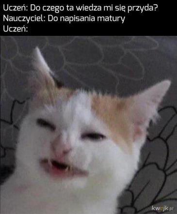 Memy matura 2020