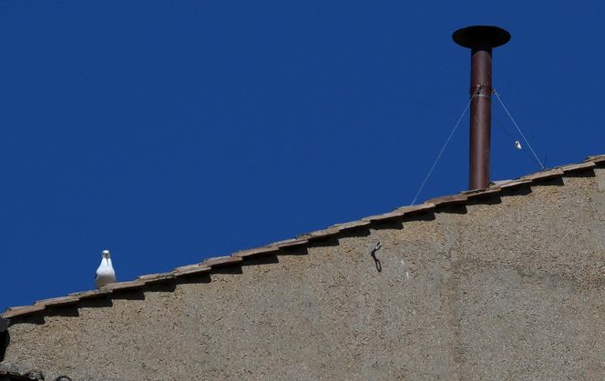 Przygotowania do konklawe 2025 w Kaplicy Sykstyńskiej