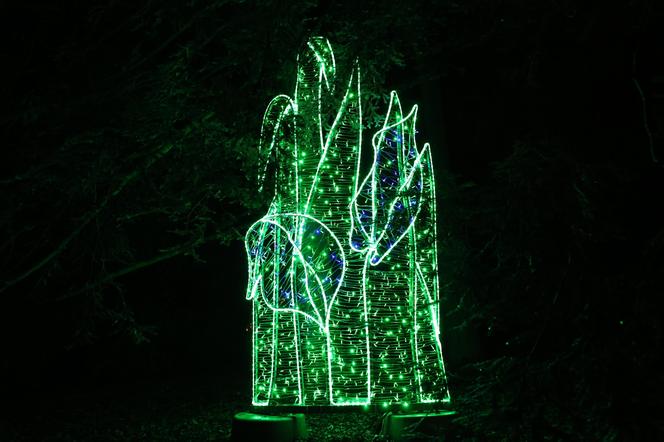 „Historia światła” po raz ostatni. Park iluminacji w Lublinie kończy sezon