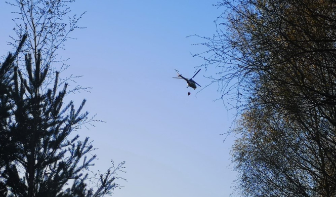 Pożary lasów na Pomorzu