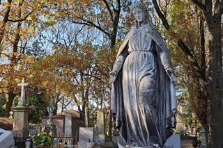 Zabytki Starego Cmentarza w Tarnowie