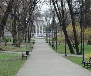 W Parku Strzeleckim powstanie Aleja Wybitnych Tarnowian. Kiedy rozpocznie się realizacja?