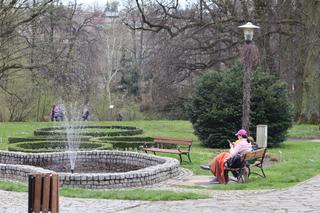 Ogród Botaniczny w Lublinie otwarty! Wszędzie widać wiosnę