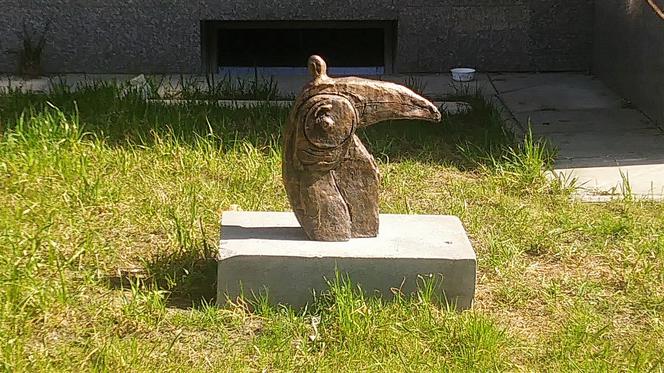 "Ptaki i ptaszyska"