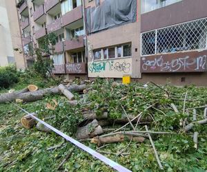 Wielkie drzewo runęło im na blok. „Widziałam, jak na mnie leci!”