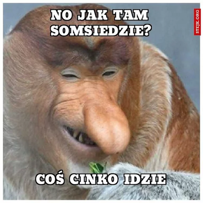 Memy po odpadnięciu Niemców z mistrzostw świata