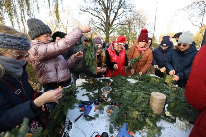 W Gdańsku rozbłysły pierwsze dzielnicowe choinki