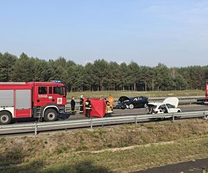 Jeżowe. Śmiertelny wypadek na S-19. Nie żyją kobieta i mężczyzna ze skody [ZDJĘCIA]