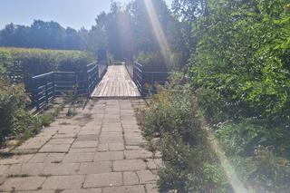 Zapuszczone parki w Olsztynie zyskają nowy blask. Miasto ogłosiło przetargi