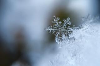 UWAGA! Silny mróz. Sprawdźcie najnowsze OSTRZEŻENIE METEOROLOGICZNE. Będzie zimno!