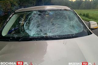 Kierujący bmw dwukrotnie zderzył się z jeleniem