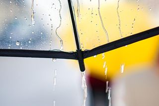 Pogoda w województwie pomorskim. Czy pogodowy armagedon dotknie mieszkańców Pomorza? 