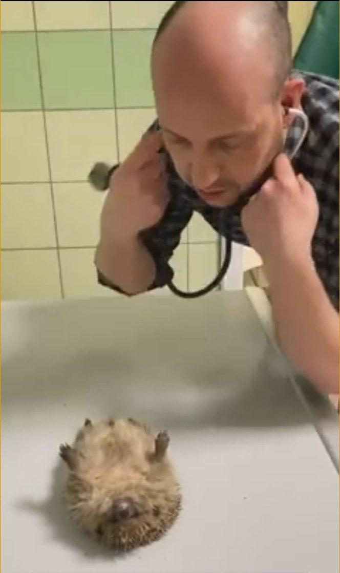 Wściekł się, bo wybudzili go ze snu