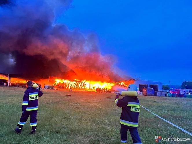 Pożar składowiska odpadów w Promniku (gm. Strawczyn)