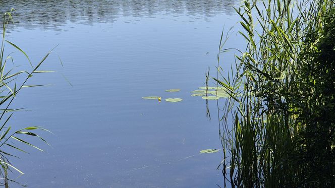 To jedno z największych jezior w Olsztynie. Kusi turystów piaszczystymi plażami