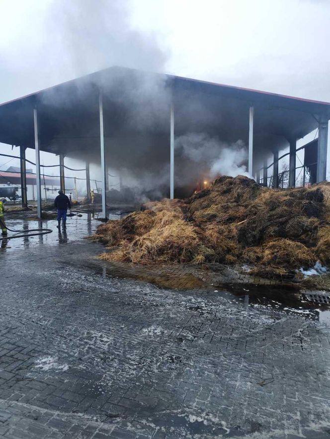 Pożar w Klubie Jeździeckim Facimiech