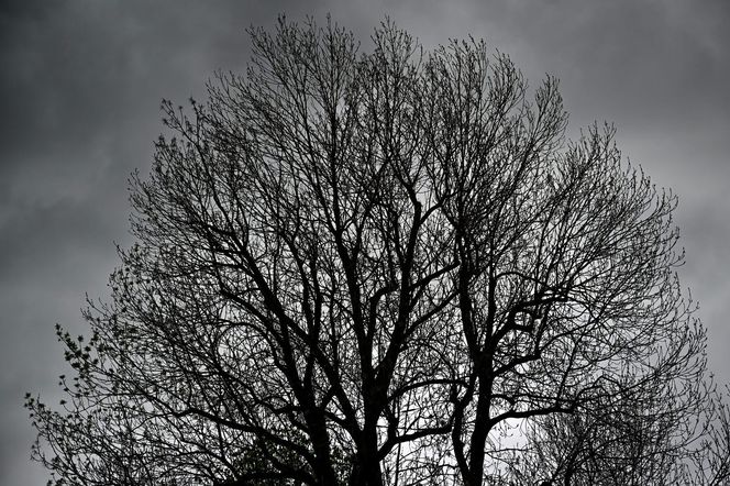 -3 stopnie i śnieg w górach. IMGW zaskakuje w nowej prognozie