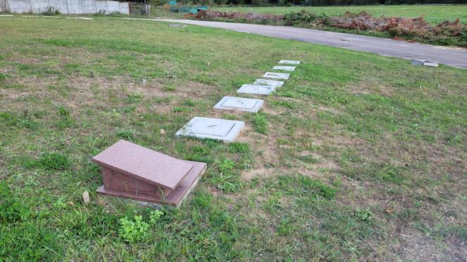 Tak wygląda „amerykański” cmentarz w Dywitach. Ile kosztuje miejsce?