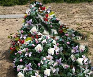 Ratował boćka na słupie, spadł z drabiny