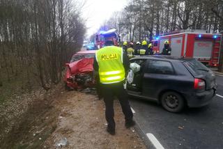 Czołowe zderzenie Audi i Skody na DW 235. Kierowcy z poważnymi obrażeniami trafili do szpitala