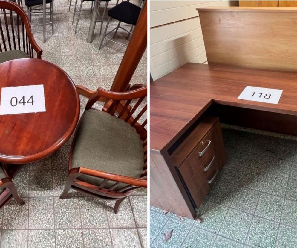 Lasy Państwowe na Podkarpaciu wyprzedają meble. Co oferują i w jakich cenach? 