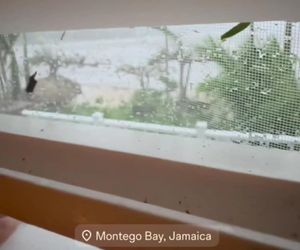 Aleksandra Żebrowska