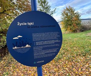 Serenity Park w Mysłowicach to nowe miejsce wypoczynku na Śląsku