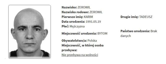 Rejestr Przestępców Seksualnych z województwa śląskiego [ZDJĘCIA]