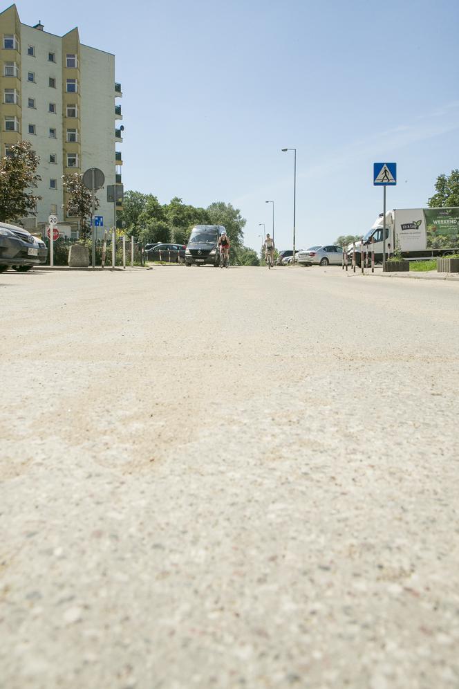 Chrząszcz blokuje budowę drogi