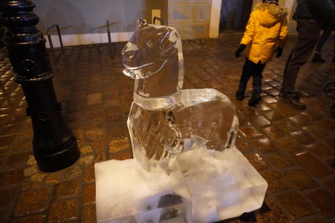 Poznań Ice Festival 2024 - dzień drugi