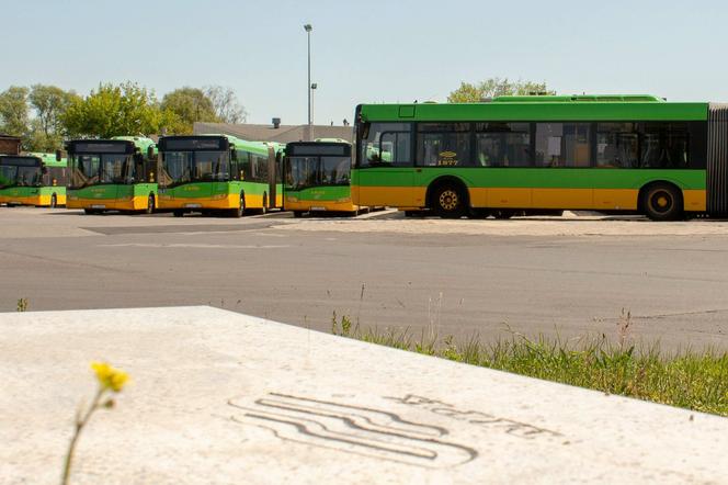 Poznański tabor może się w roku powiększyć o autobusy hybrydowe 