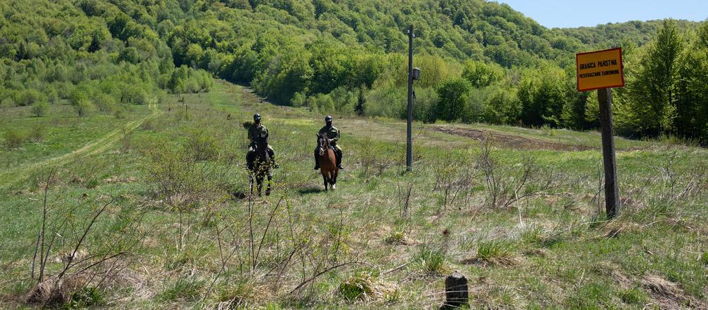 W Bieszczadach granicy razem ze strażnikami pilnują konie. Są jedyne takie w Polsce! [FOTO]