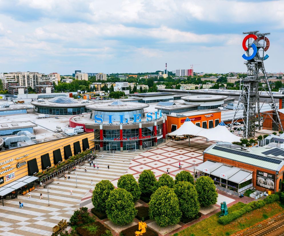 Silesia Property