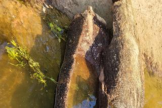 Strażacy wyłowili tajemniczą niespodziankę. Łódź wydobyta na brzeg pamięta rozbiory Polski!