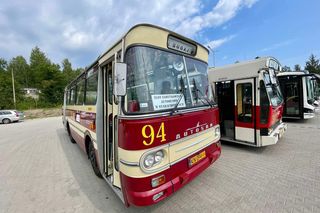 Nadjeżdża II Zlot Autobusów Zabytkowych w Starachowicach. Sprawdź plan i skorzystaj z darmowych linii!