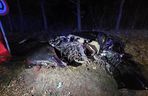 Mateusz znał tę drogę na pamięć. Jechał odwiedzić ojca. Zginął kilkaset metrów od domu