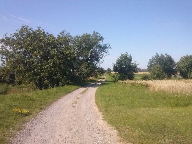 Leżachów - w tej wsi na Podkarpaciu spłonął słynny most na Sanie. To efekt walk wojsk rosyjskich i austriackich