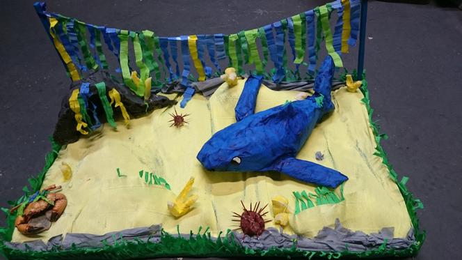 Zwycięzcy styczniowej odsłony Konkursu Edukacyjnego              Oceanarium 3D. Pierwsze klasy nagrodzone