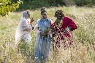 Ogłosił się królem i założył królestwo w lesie! Awantura w Szkocji