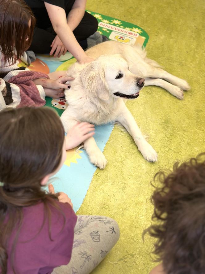 Dogoterapia Zdroje 