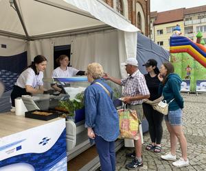 WOLIN Z RYBĄ NA TALERZU - KAMIEŃ POMORSKI - GALERIA