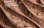 Mocha Mousse - Kolor Roku 2025