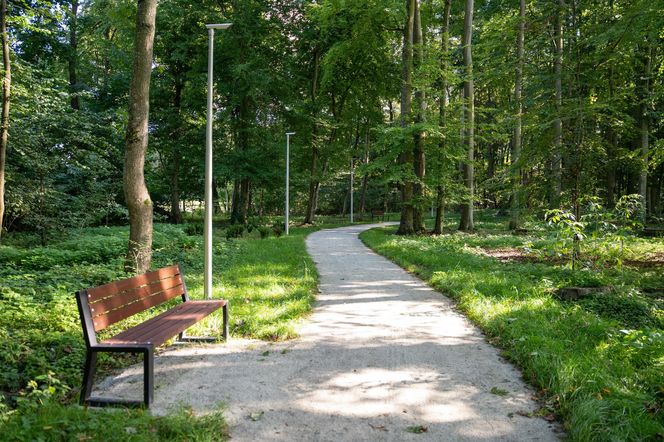 Zabytkowy park pod Lubawą zmienił się nie do poznania. Teraz wygląda jak z bajki