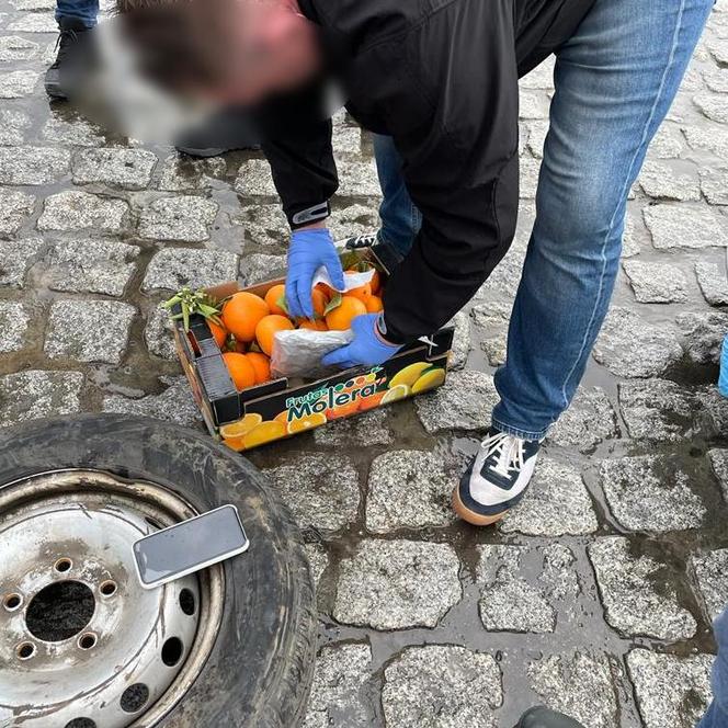 Marihuana w pomarańczach na obwodnicy Leszna