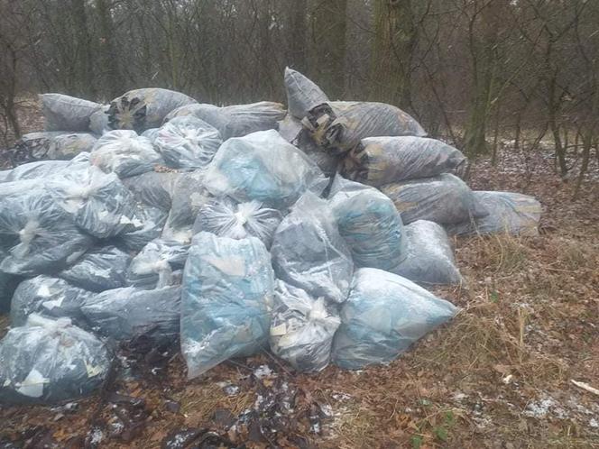 W lesie w pow. górowskim ktoś wyrzucił worki ze skórą