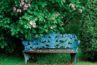 Ławka w ogrodzie – element architektury ogrodowej czy ogrodowy mebel