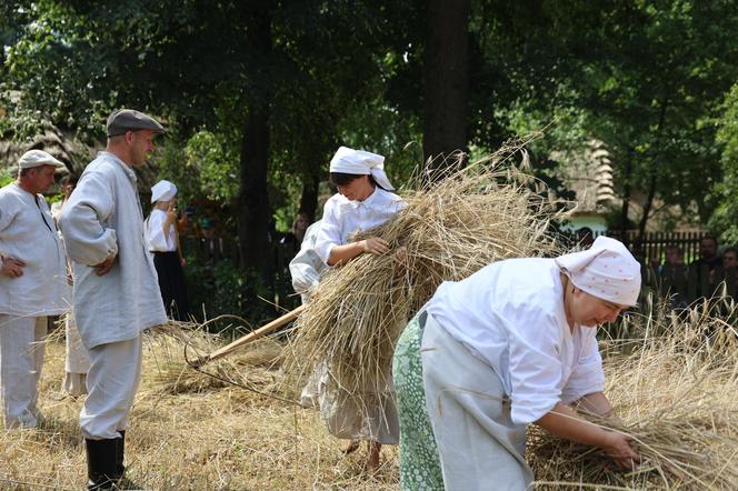 Tak wyglądało kiedyś żniwowanie na polskiej wsi