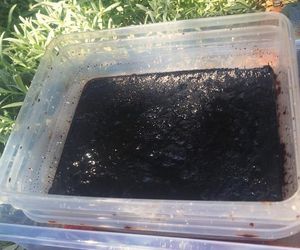 Kolejny cios w narkobiznes. Policja zlikwidowała tajne laboratorium pod Bydgoszczą!