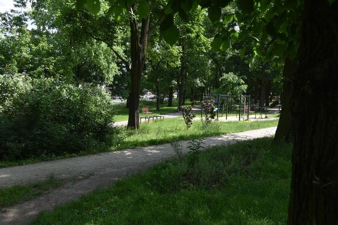 Park Glazja w Toruniu. To tutaj doszło ataku na 24-letnią kobietę